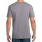 Gildan Men's Softstyle T-Shirt, Blank Tee for DIY Projects & Vinyl Design, Graphite Heather, S-3XL